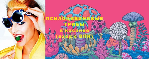 ПСИЛОЦИБИНОВЫЕ ГРИБЫ Алексеевка