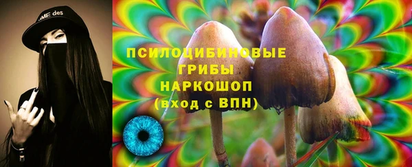 jwh Алзамай