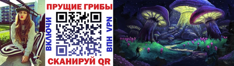 Галлюциногенные грибы Psilocybe  сколько стоит  Оленегорск 